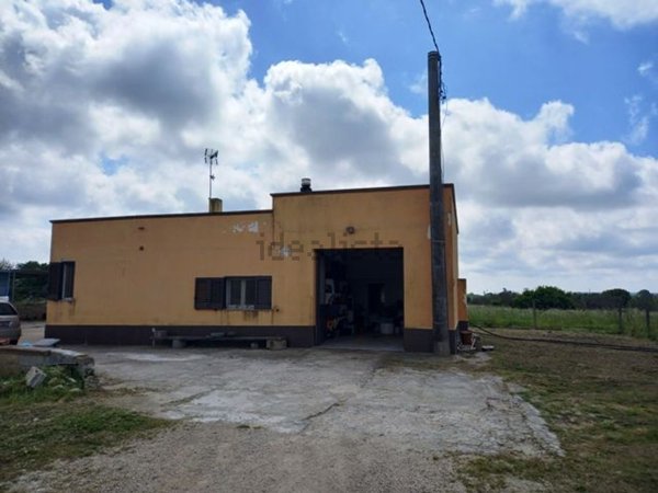 terreno agricolo in vendita a Tricase in zona Depressa