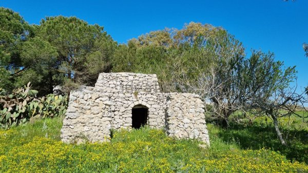 terreno agricolo in vendita a Tricase