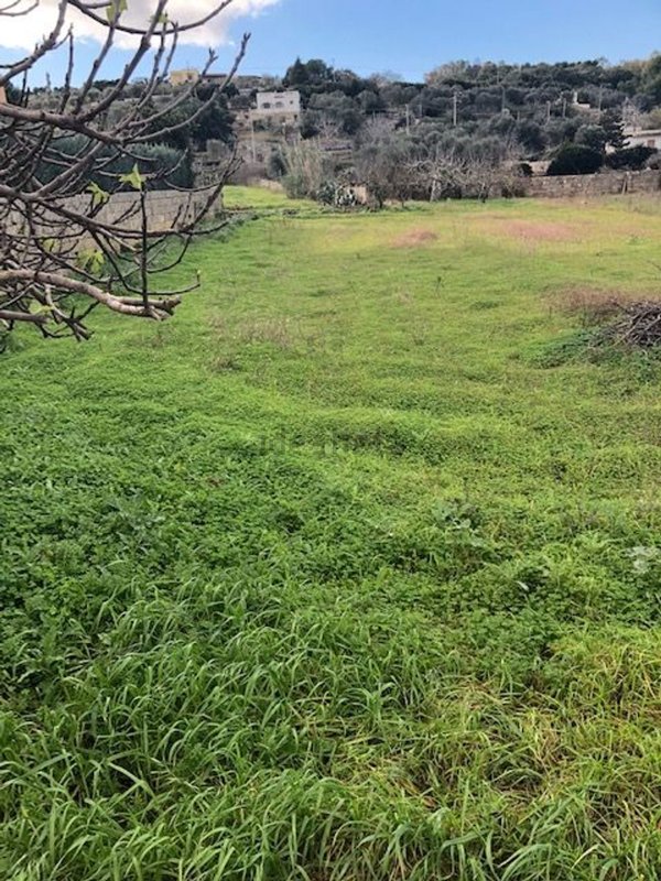 terreno edificabile in vendita a Tricase