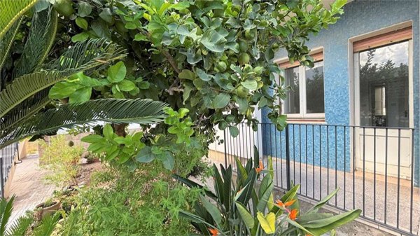 appartamento in vendita a Tricase