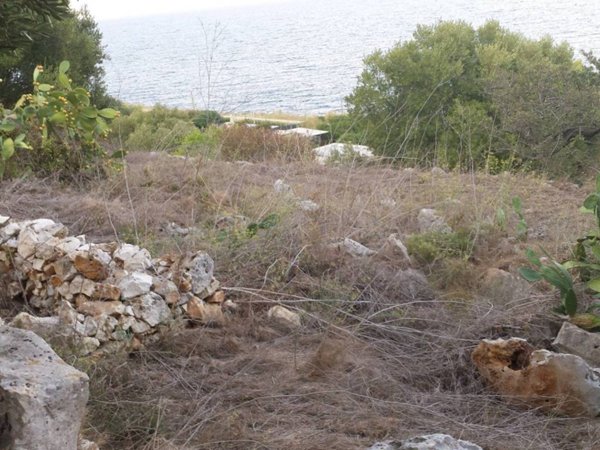 terreno agricolo in vendita a Tricase