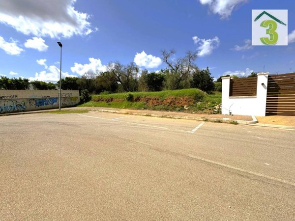 terreno agricolo in vendita a Tricase