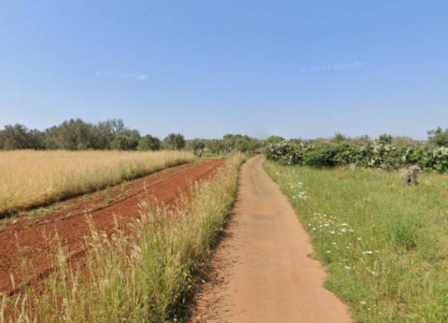 terreno agricolo in vendita a Tricase