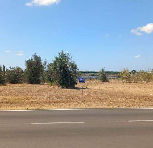 terreno agricolo in vendita a Tricase in zona Depressa