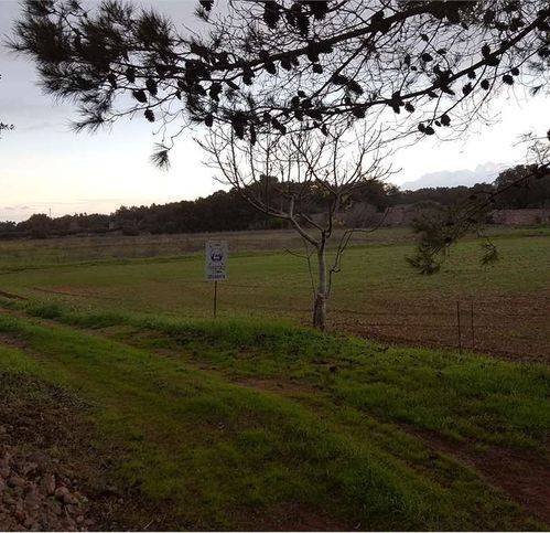 terreno agricolo in vendita a Tricase