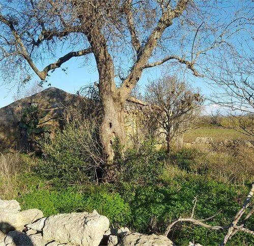 terreno agricolo in vendita a Tricase