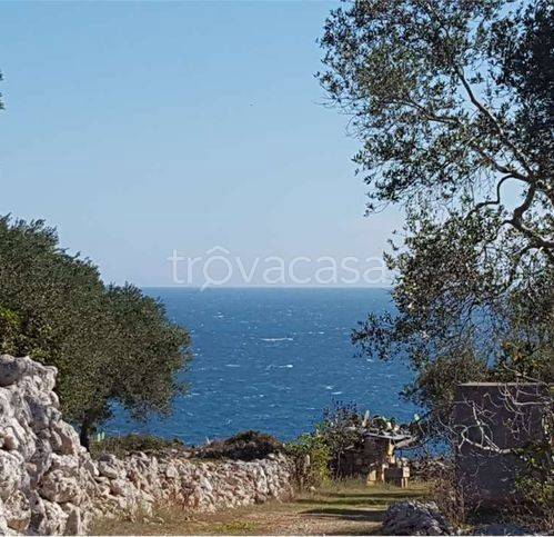 casa indipendente in vendita a Tricase