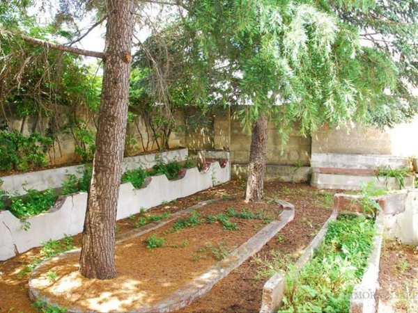 terreno agricolo in vendita a Tricase