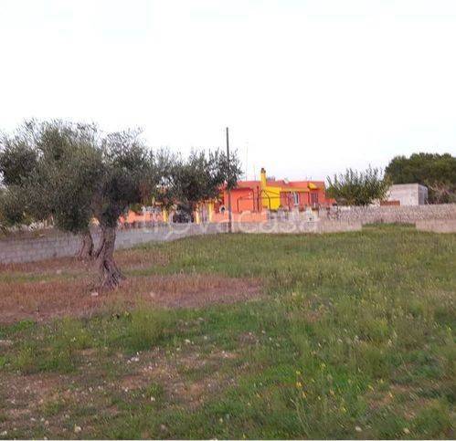 terreno agricolo in vendita a Tricase