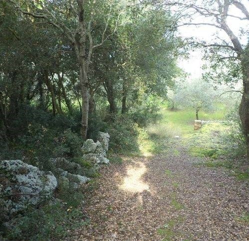 terreno agricolo in vendita a Tricase