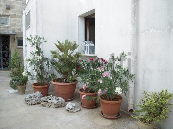 casa indipendente in vendita a Tricase