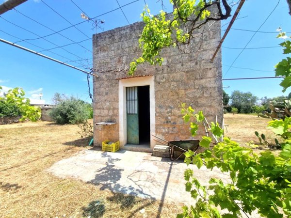 terreno agricolo in vendita a Tricase