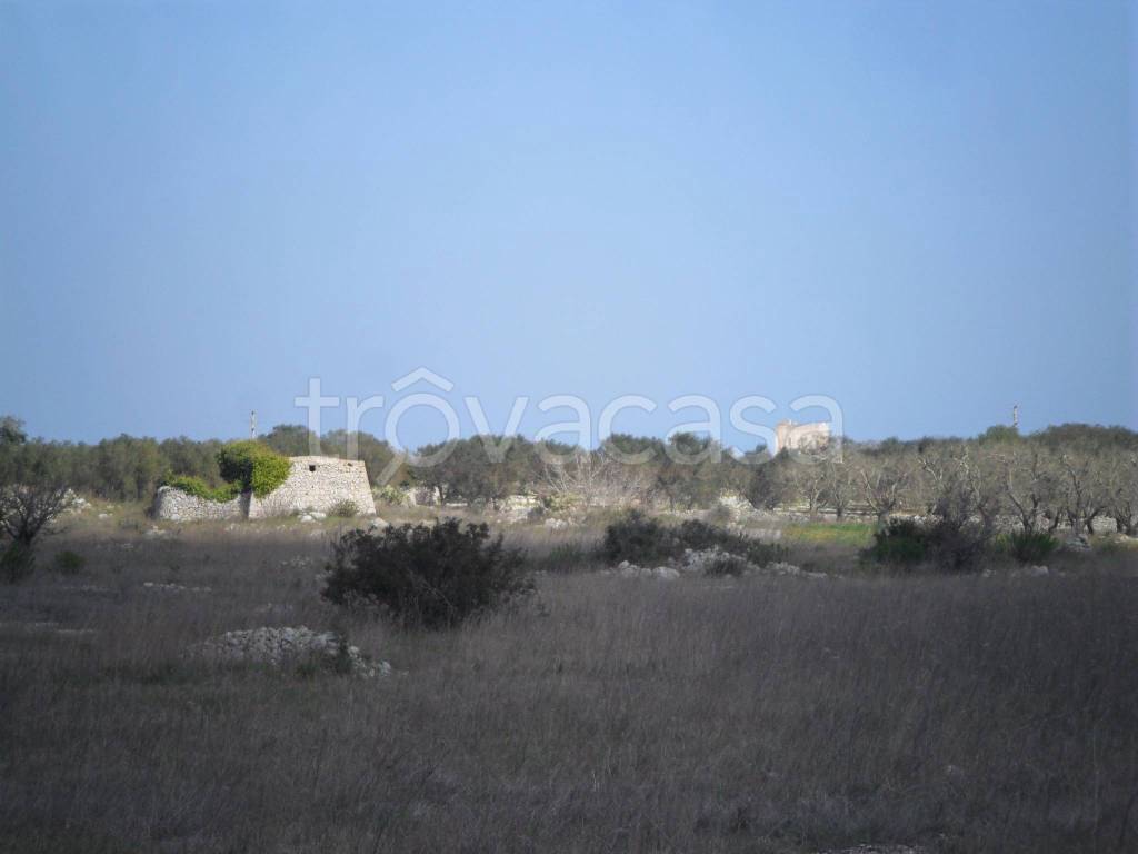terreno agricolo in vendita a Tricase