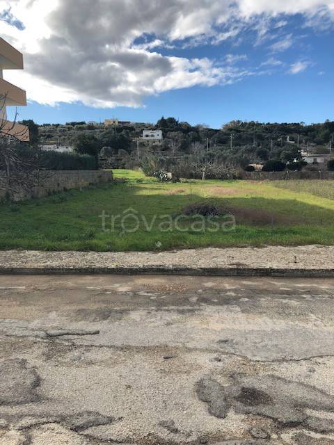 terreno agricolo in vendita a Tricase