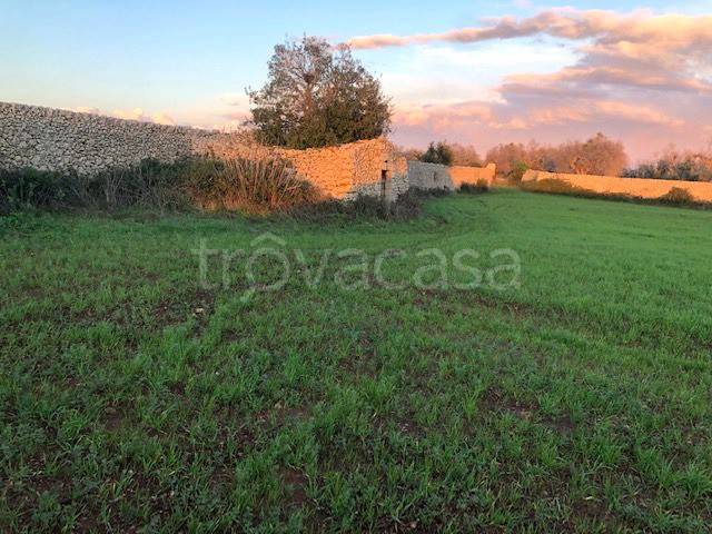 terreno agricolo in vendita a Tricase