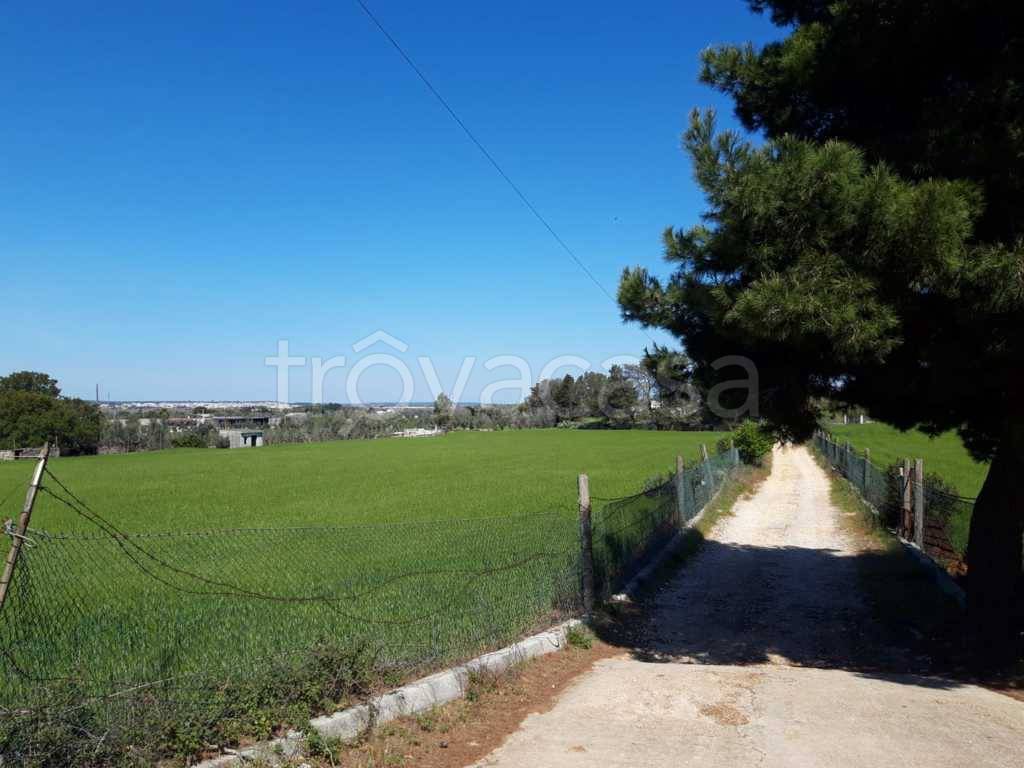 terreno agricolo in vendita a Tricase