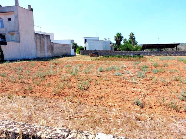 terreno agricolo in vendita a Tricase in zona Lucugnano