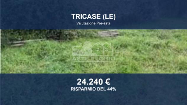 terreno agricolo in vendita a Tricase