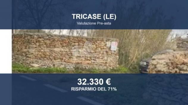 terreno agricolo in vendita a Tricase