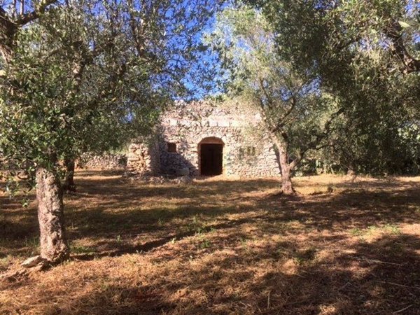 terreno in vendita a Tricase