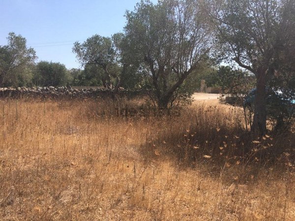 terreno in vendita a Tricase