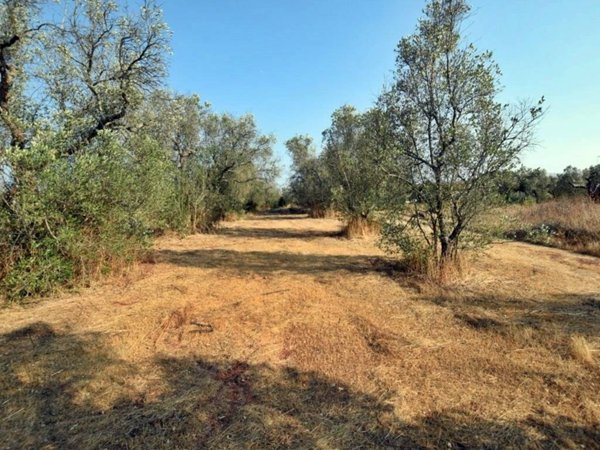 terreno in vendita a Tricase