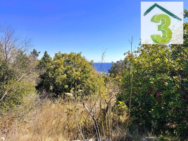terreno in vendita a Tricase