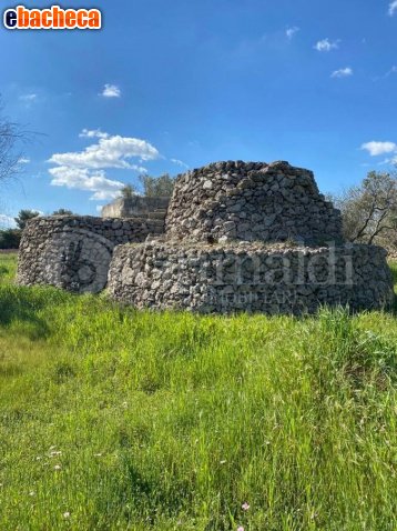 terreno agricolo in vendita a Tuglie