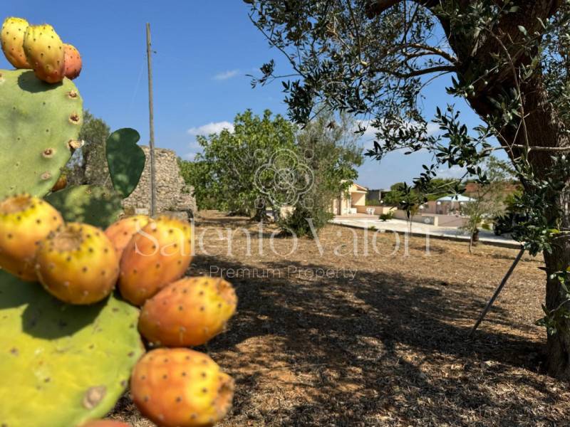 casa indipendente in vendita a Tuglie