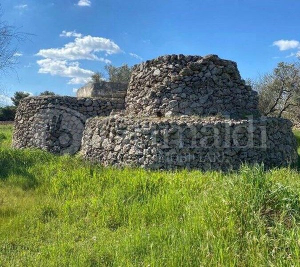 terreno agricolo in vendita a Tuglie