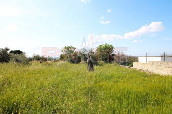 terreno agricolo in vendita a Tuglie