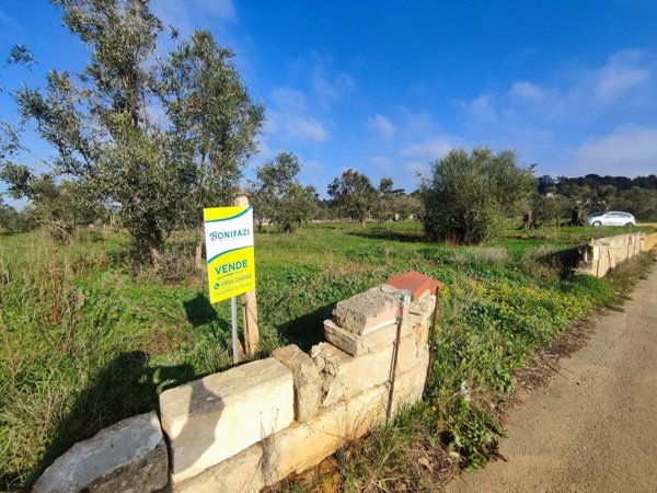 azienda agricola in vendita a Tuglie