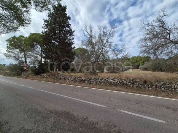 terreno agricolo in vendita a Tuglie