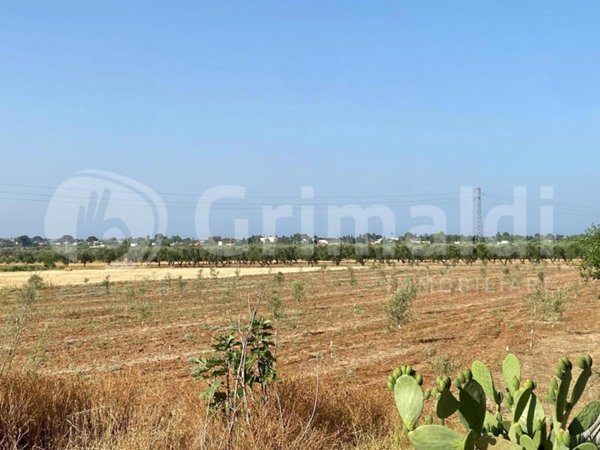 terreno agricolo in vendita a Tuglie