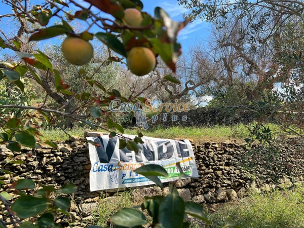 negozio in vendita a Tuglie