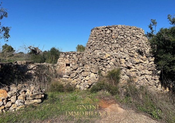 terreno agricolo in vendita a Tuglie