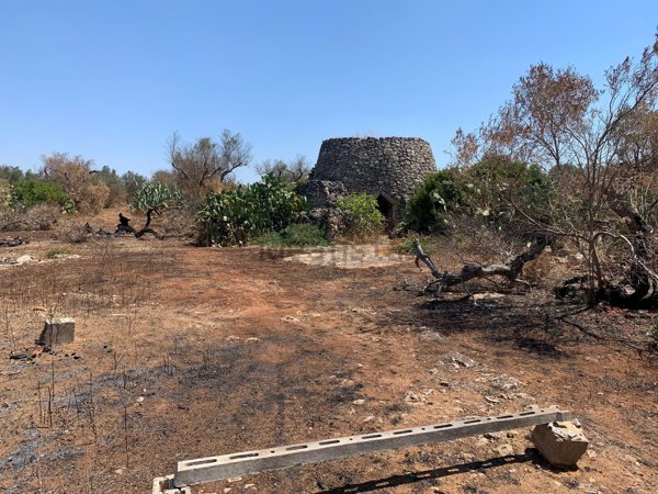 terreno agricolo in vendita a Tuglie