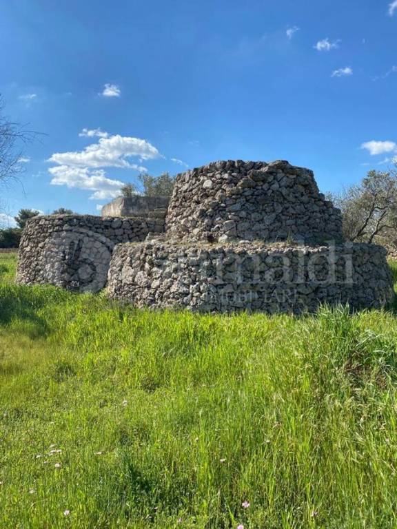 terreno agricolo in vendita a Tuglie