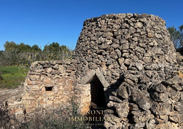 terreno agricolo in vendita a Tuglie