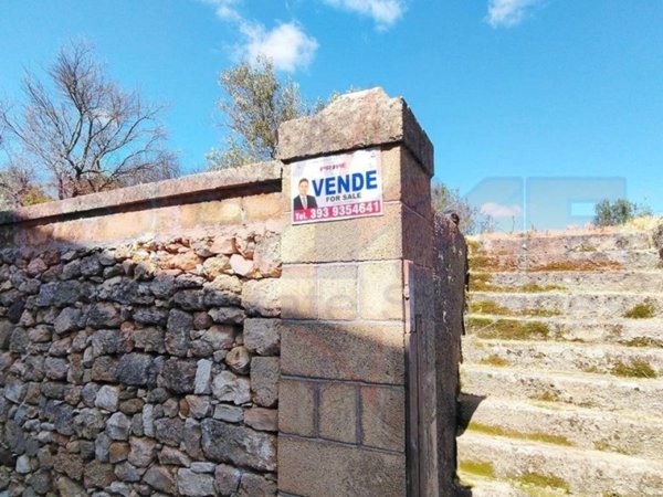 terreno agricolo in vendita a Tuglie