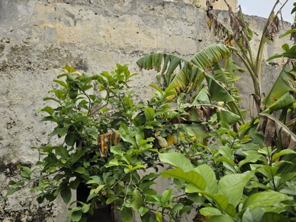 casa indipendente in vendita a Tuglie