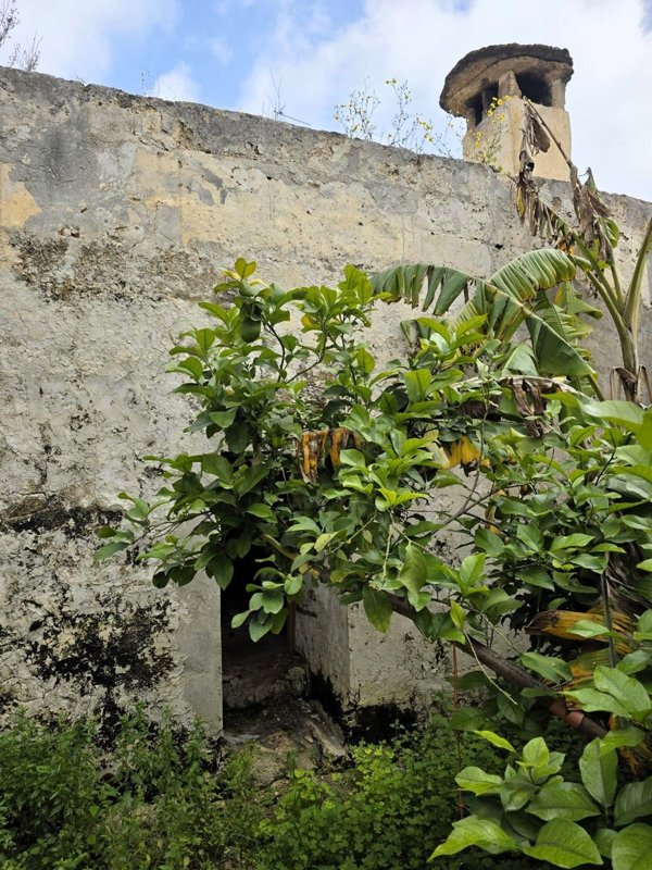 casa indipendente in vendita a Tuglie