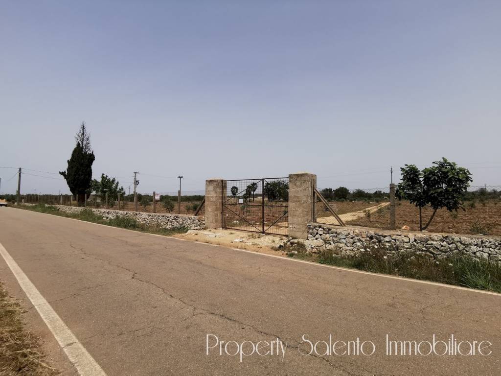 terreno agricolo in vendita ad Ugento