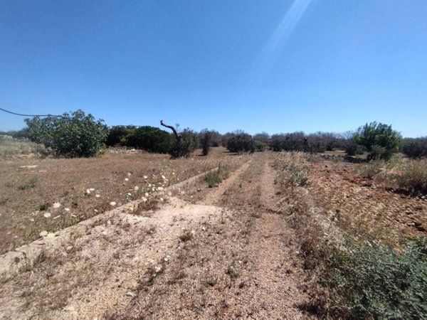 terreno agricolo in vendita ad Ugento in zona Torre Mozza