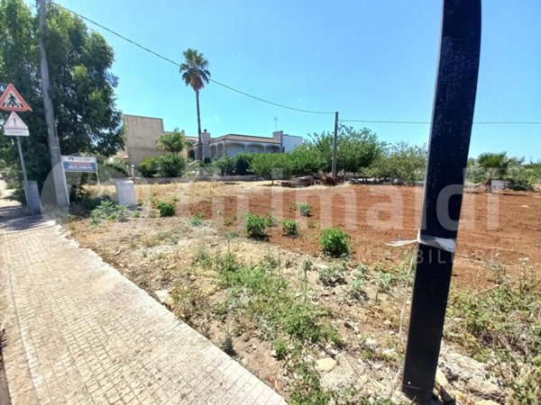 terreno agricolo in vendita ad Ugento