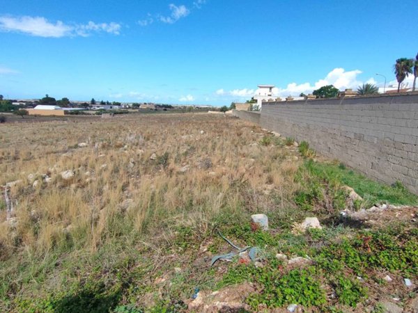 terreno agricolo in vendita ad Ugento
