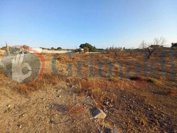 terreno agricolo in vendita ad Ugento in zona Torre San Giovanni