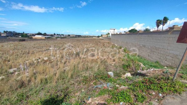 terreno agricolo in vendita ad Ugento
