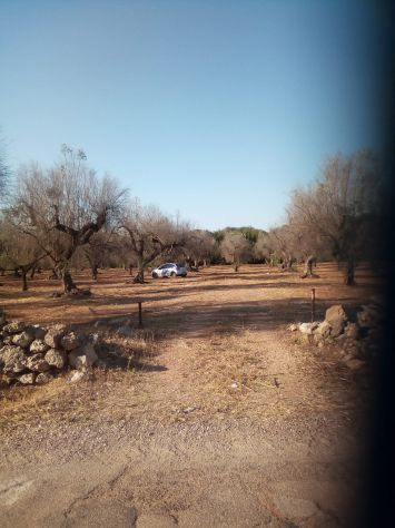 terreno agricolo in vendita ad Ugento in zona Gemini