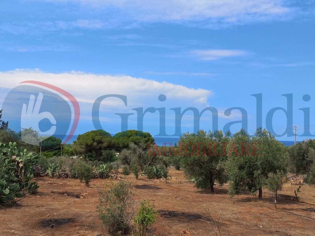 terreno agricolo in vendita ad Ugento in zona Torre San Giovanni